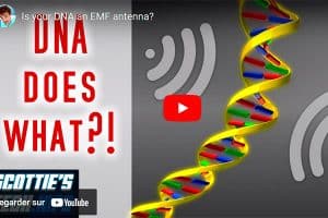 Notre ADN fonctionne-t-il comme une antenne ?