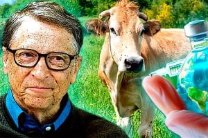 Bill Gates et les vaccins climatiques