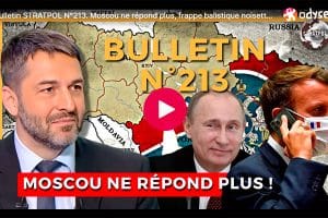 Stratpol : bulletin n°213